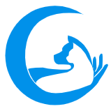 懂球猫 - 专业足球赛事分析与实时比分预测平台