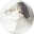 忆夕旧梦