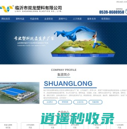 塑料托盘厂家_塑料托盘价格-临沂市双龙塑料有限公司