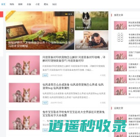 千鹤号 – 一个有用的爱宠知识网站