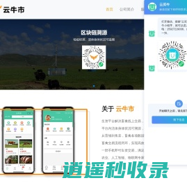 网上在线肉牛买卖,行业垂直活畜交易电商平台-云牛市