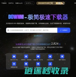 DownNi-极简极速的视频下载工具
