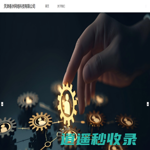 天津春洲网络科技有限公司