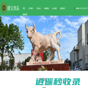 四川省通宝食品有限公司,牛肉,板鸭