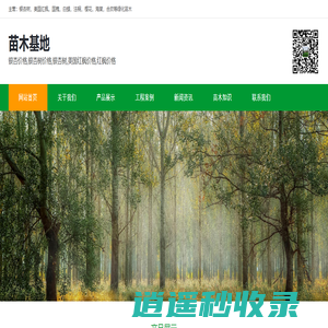 雨沐园林绿化工程有限公司-银杏价格,银杏树价格,银杏树,美国红枫价格,红枫价格