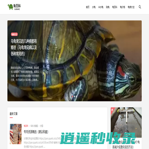 乌龟百科知识，养龟知识大全，宠物龟百科-龟百科