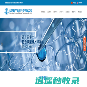 氯化胆碱-山东银丰生物科技有限公司