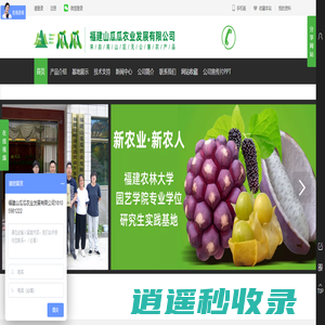八月瓜苗|炸苗-黑老虎苗-九月黄苗-火参果-福建山瓜瓜农业发展有限公司