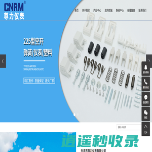 乐清市尊力仪表有限公司