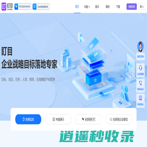盯目 - 企业战略目标落地专家
