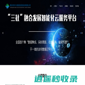 重庆农村大数据投资股份有限公司