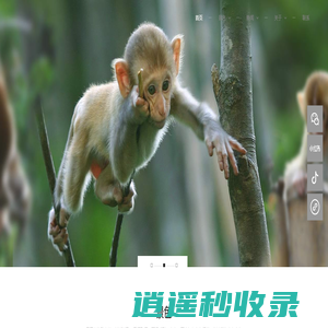 杭州临安太湖源生态旅游有限公司