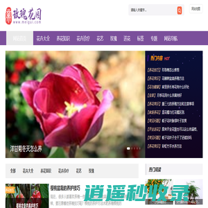 植物之家,玫瑰花养殖,鲜花养殖,您身边的养花专家【玫瑰花园】