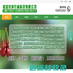 杨凌锐坤农林科技有限公司|杨凌锐坤农林科技有限公司樱桃砧木|杨凌锐坤农林科技有限公司苹果砧木|杨凌锐坤农林科技有限公司樱桃苗|杨凌锐坤农林科技有限公司苹果苗|杨凌锐坤农林科技有限公司吉塞拉樱桃苗|陕西大樱桃