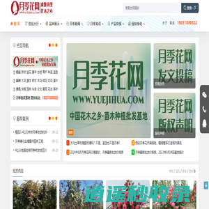 月季花网-月季知识分享网站-树状藤本大花-月季苗批发基地