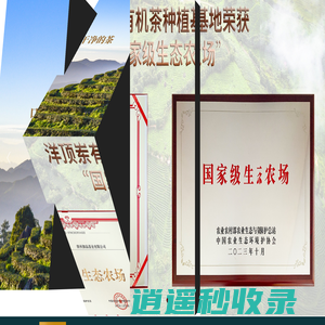南靖洋顶岽茶业有限公司