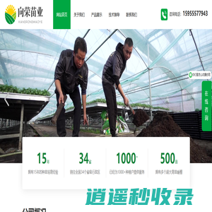 宿州向荣苗业有限公司 - 培育销售西瓜苗、甜瓜苗、蔬菜苗