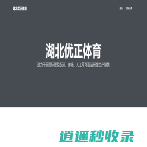 塑胶跑道-硅PU球场-丙烯酸球场厂家、施工、价格 - 湖北明辉体育