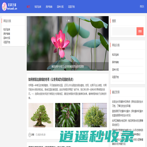 花韵之窗-花卉养护的奇妙之窗