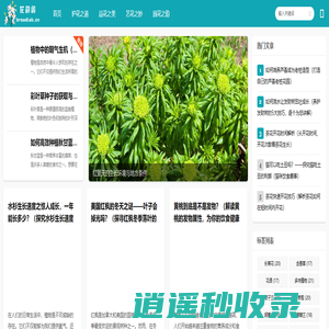 花韵阁-花卉养护的多彩世界