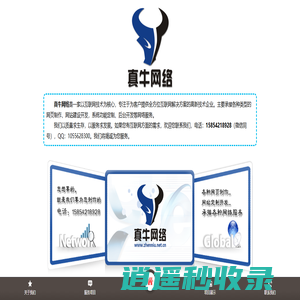 真牛网络-互联网服务专家-真牛网络服务欢迎您