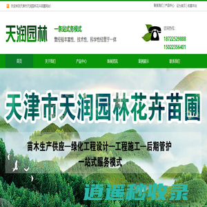 天津苗木-苗圃-苗木基地-天津市天润园林花卉苗圃