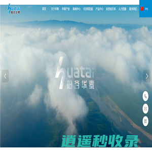山东阳谷华泰化工股份有限公司