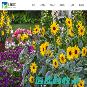 上海源怡种苗股份有限公司欢迎您_花种_种球_草种_园艺资材_园林苗木_种子
