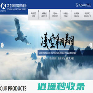 沈阳凌空翱翔聚氨酯橡胶制品厂_活塞密封圈,活塞杆密封圈,防尘圈,活塞活塞杆密封圈,旋转密封圈,阀门用密封圈,缓冲密封圈,O形密封圈,密封附件,聚氨酯制品,各种密封制品