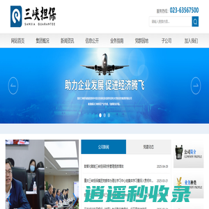 重庆三峡融资担保集团股份有限公司-大型综合性融资担保集团