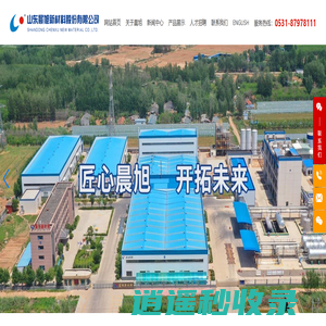 山东晨旭新材料股份有限公司-氢氧化铝生产厂家-提供TCPP阻燃剂,硼酸锌定制与批发