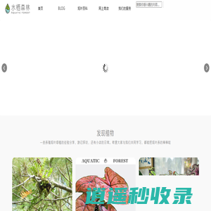 水栖森林-提供进口室内观叶绿植、稀有热植销售商、批发商！成都自然生态造景，雨林景观、垂直绿化，空间造景、绿植软装等服务提供商