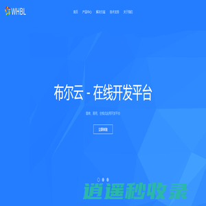 武汉布尔信息技术有限责任公司