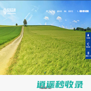 12年的经验 _ 专业定制各种单据_送货单_收据_销货清单印刷与定做 - 联单票据订制厂家-东润