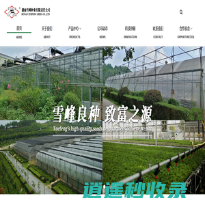 雪峰种业-专注于优质瓜类品种的育种公司