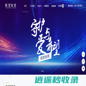铜宝线缆