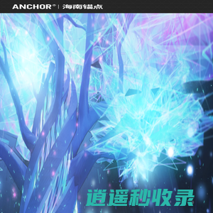 锚点网络
