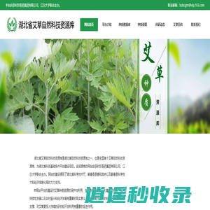 艾草种质资源库-湖北省艾草自然科技资源库