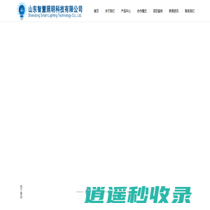山东智慧照明科技有限公司