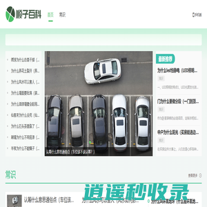顺子百科