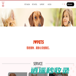 上海美育