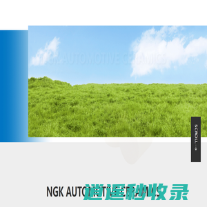 NGK（苏州）环保陶瓷有限公司