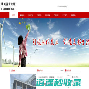 聊城盐业公司