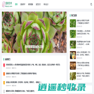 盘栽艺术 - 室内绿化与植物养护宝典