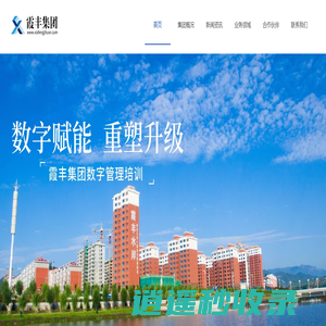 霞丰集团