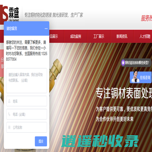 浙江霖盛金属表面处理科技有限公司