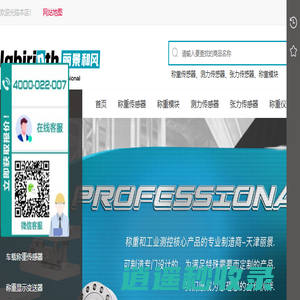 天津市丽景微电子设备有限公司