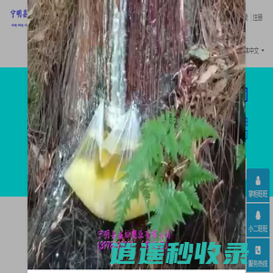 宁明县盛松塑业有限公司 - 宁明县盛松塑业有限公司，割松油刀，割松脂袋，割松香刀，松油袋，松脂袋，松香袋