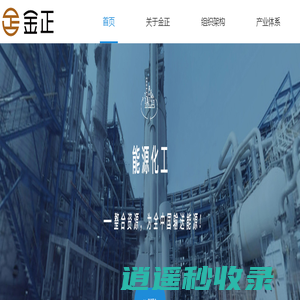 新疆金正实业集团