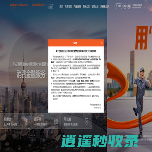 平安消费金融有限公司